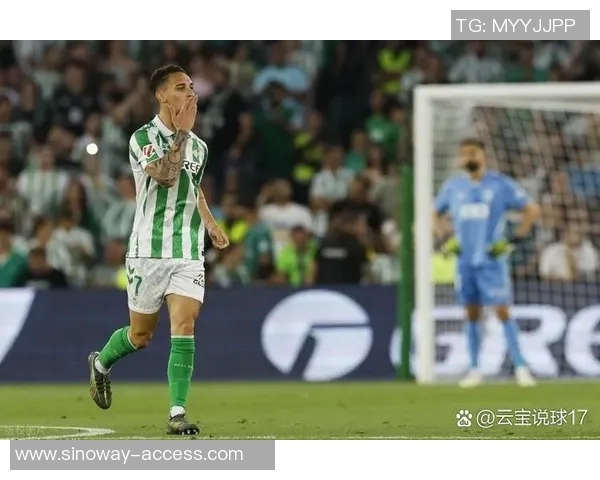 墨尔本城对西部联比赛分析与推荐策略分享